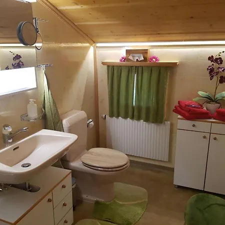 Steimandli Appartement-fewo- Dusche Oder Bad- Wc 2-bettwohnung By Interhome Gstaad